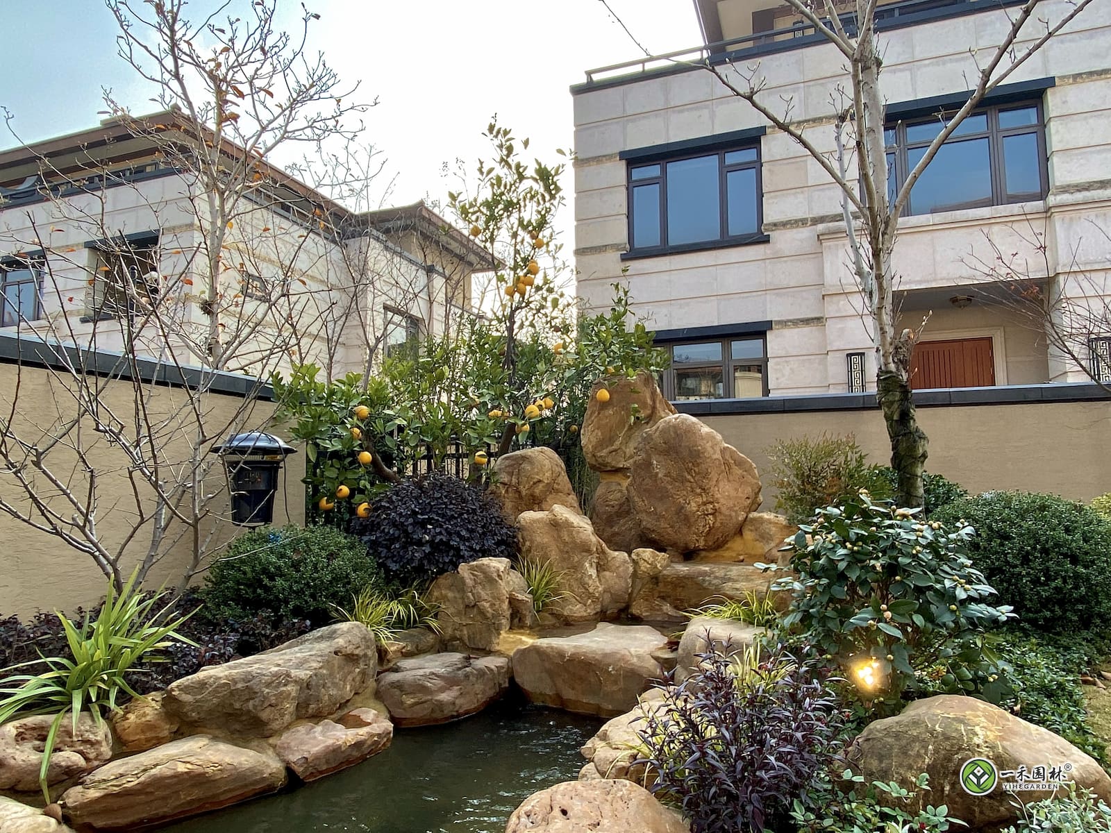 一禾园林杭州别墅庭院鱼池黄蜡石假山与果树绿植实景