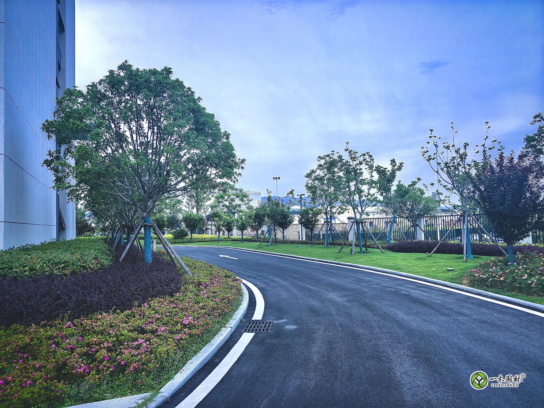 一禾园林安庆厂区道路转角绿化与花境实景