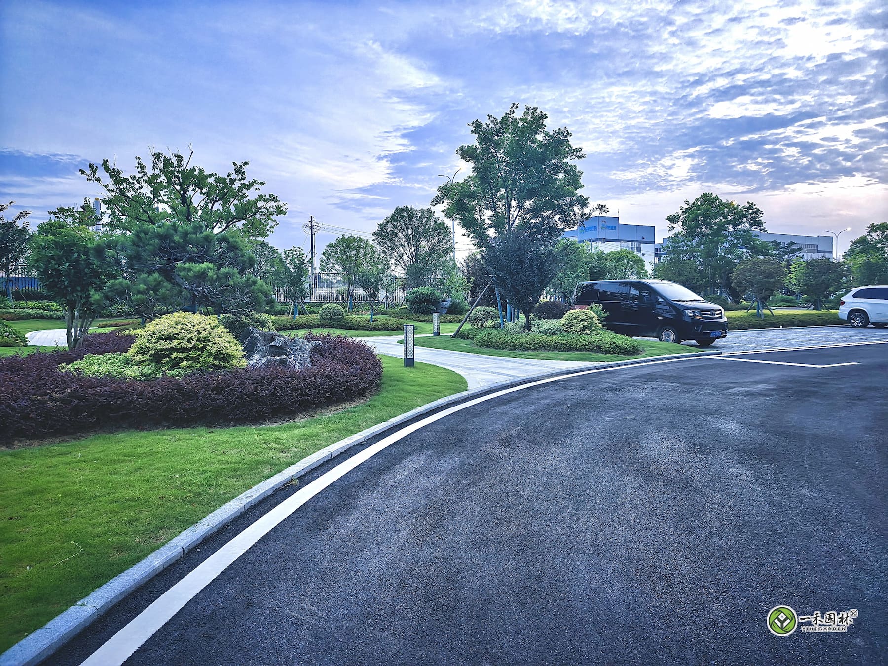 一禾园林安庆厂区道路节点草坪灌木与乔木实景