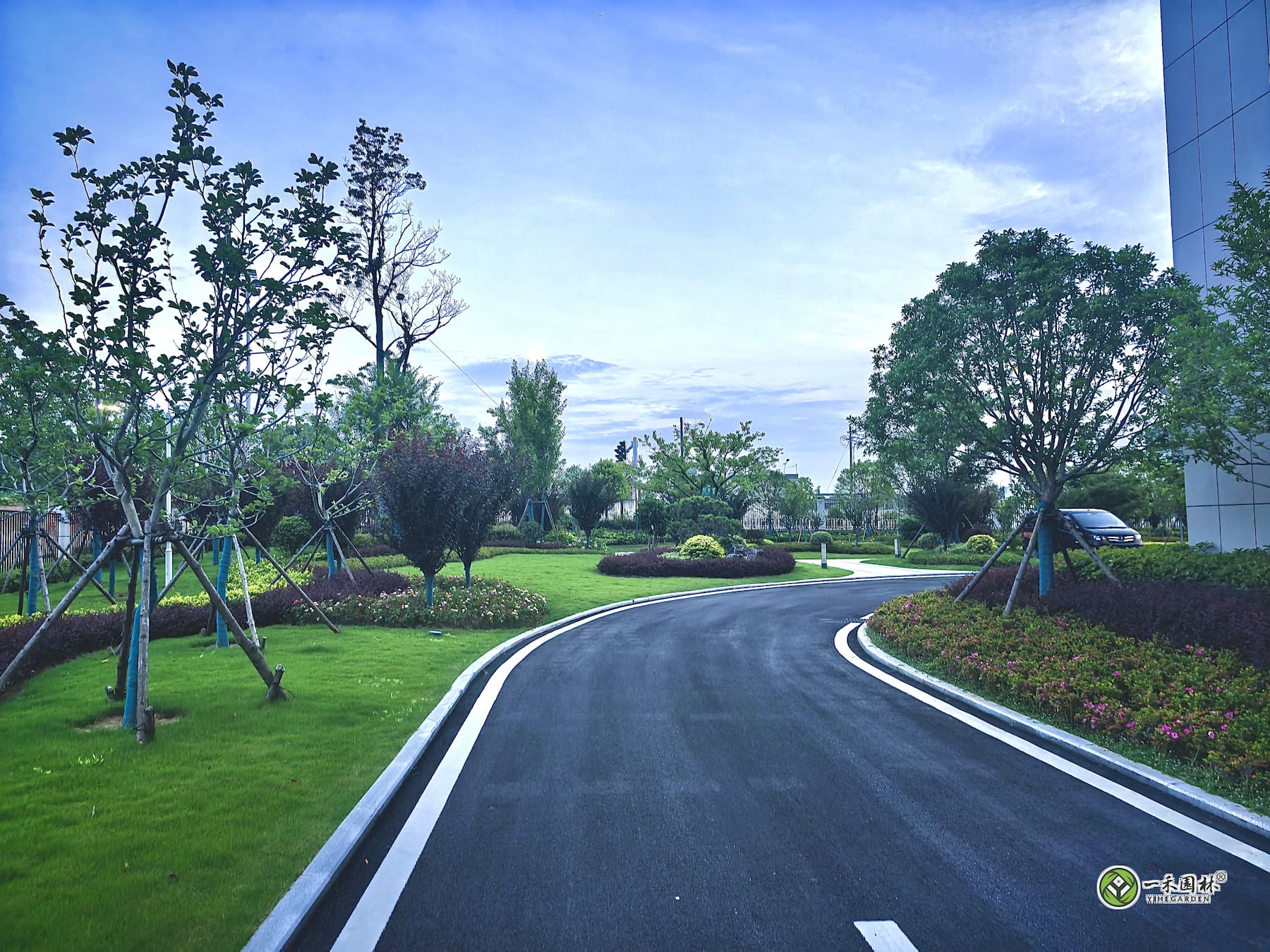 一禾园林安庆厂区道路转弯绿化与花境草坪实景
