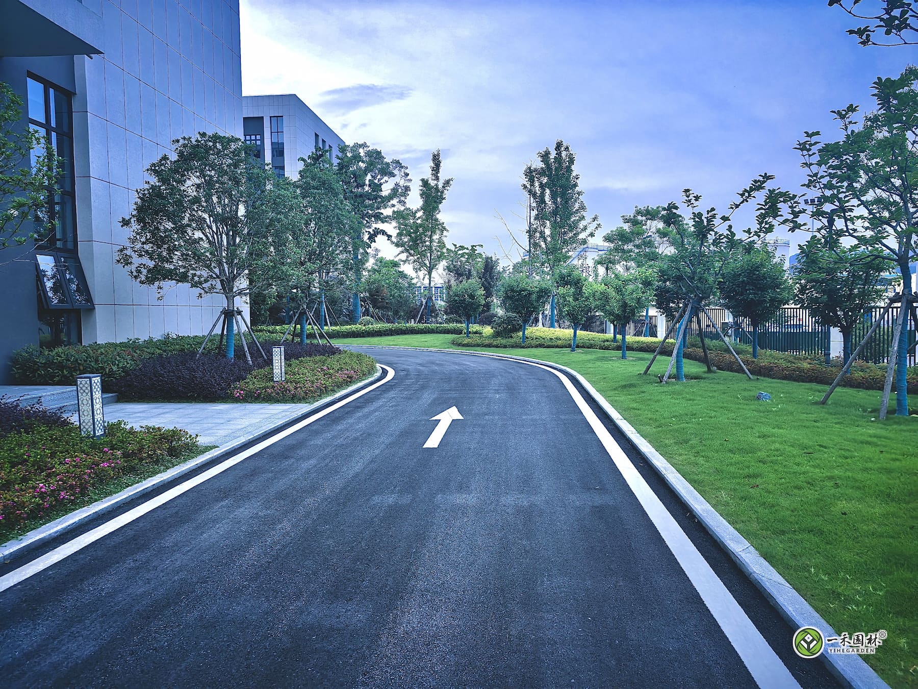 一禾园林安庆厂区道路绿化与行道树草坪实景