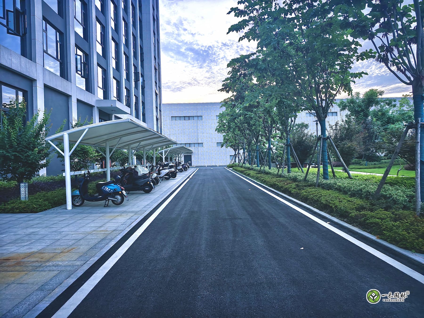 一禾园林安庆厂区道路绿化与停车棚乔木实景