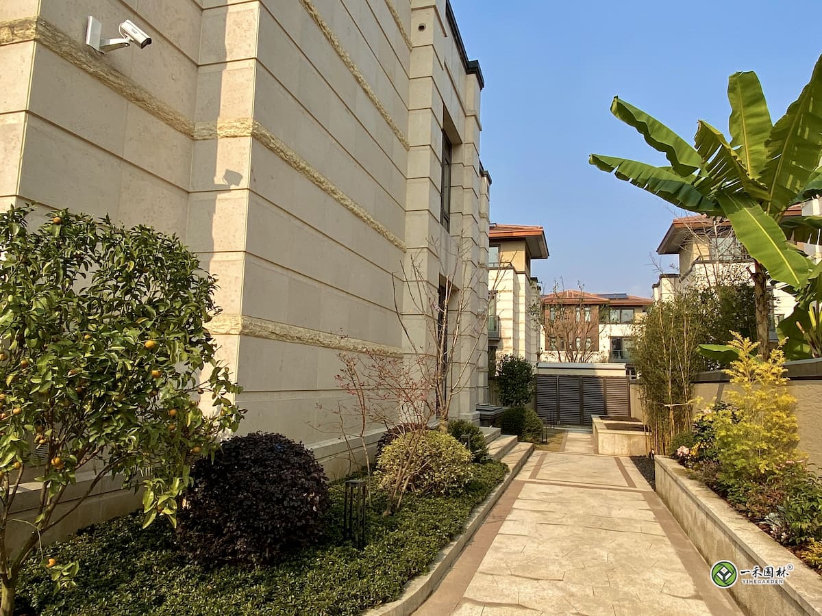 一禾园林简约新中式私院,果树球形灌木搭配庭院造景