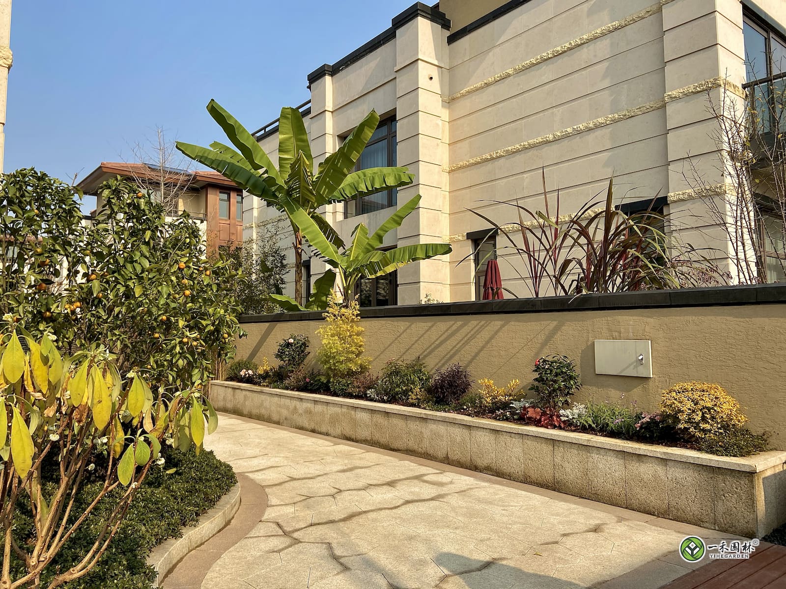 一禾园林私家庭院施工,景观墙芭蕉绿植组团造景实景