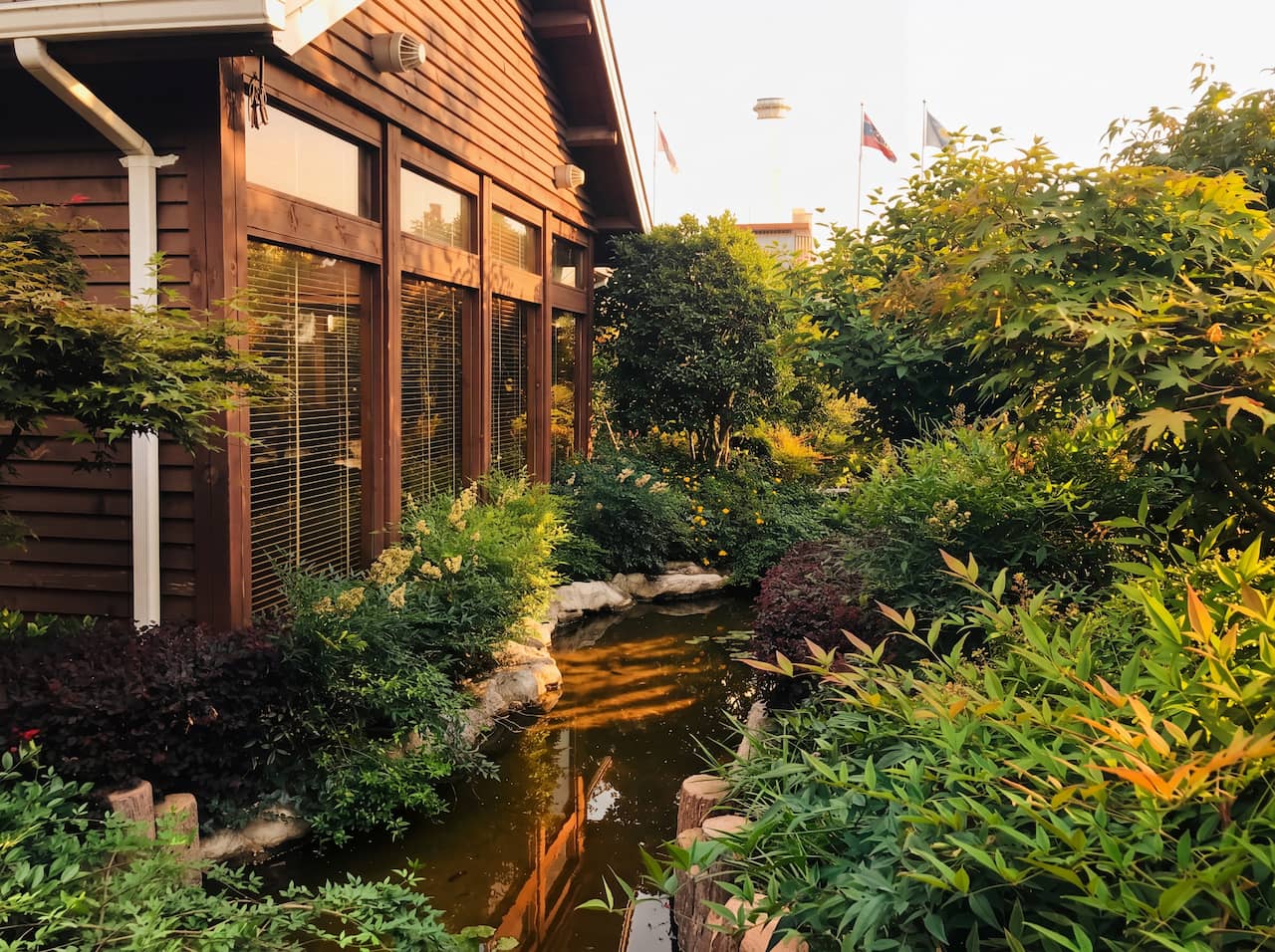 一禾园林屋顶花园建筑旁水景与植物配置